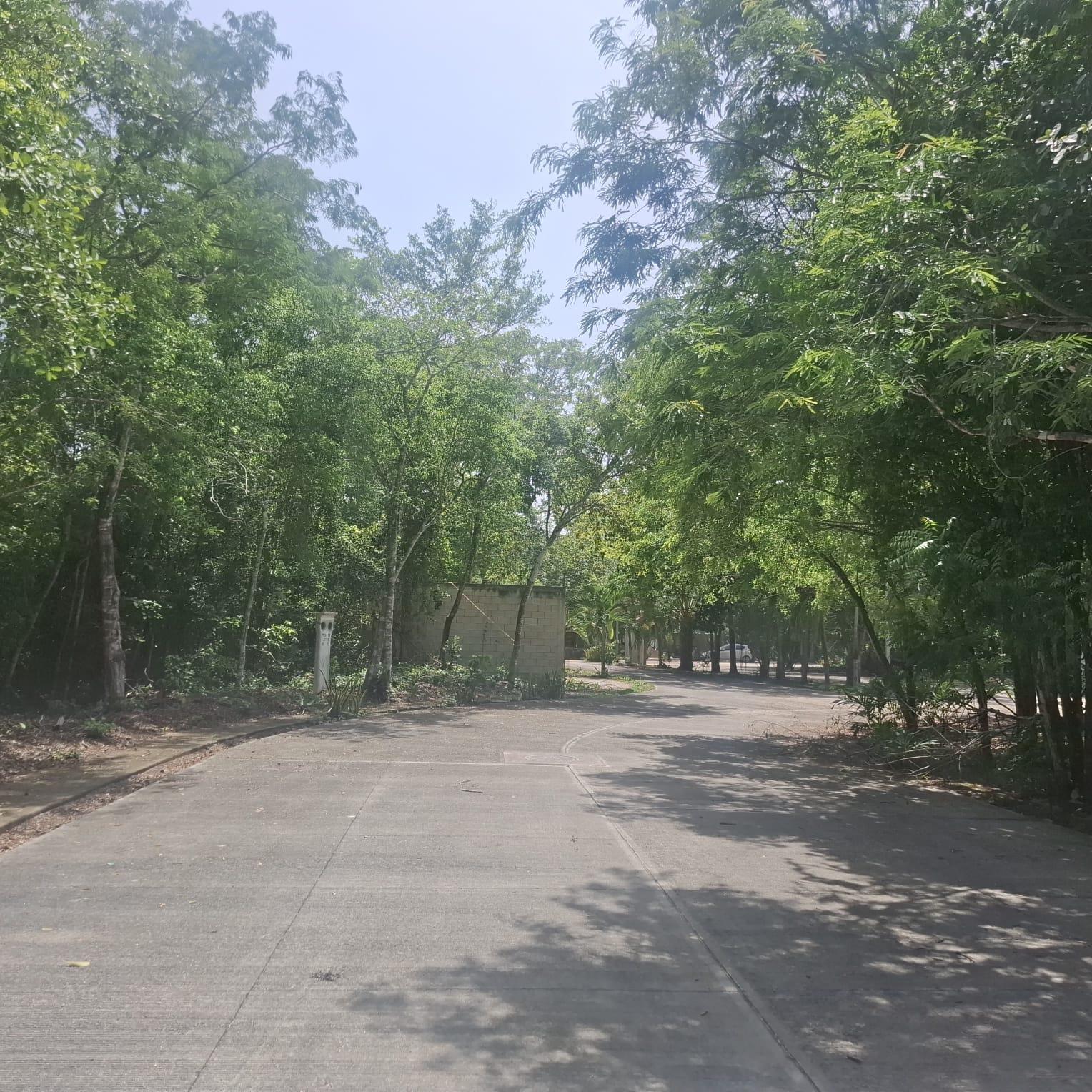 Terreno en Paseo del Parque Playa del Carmen