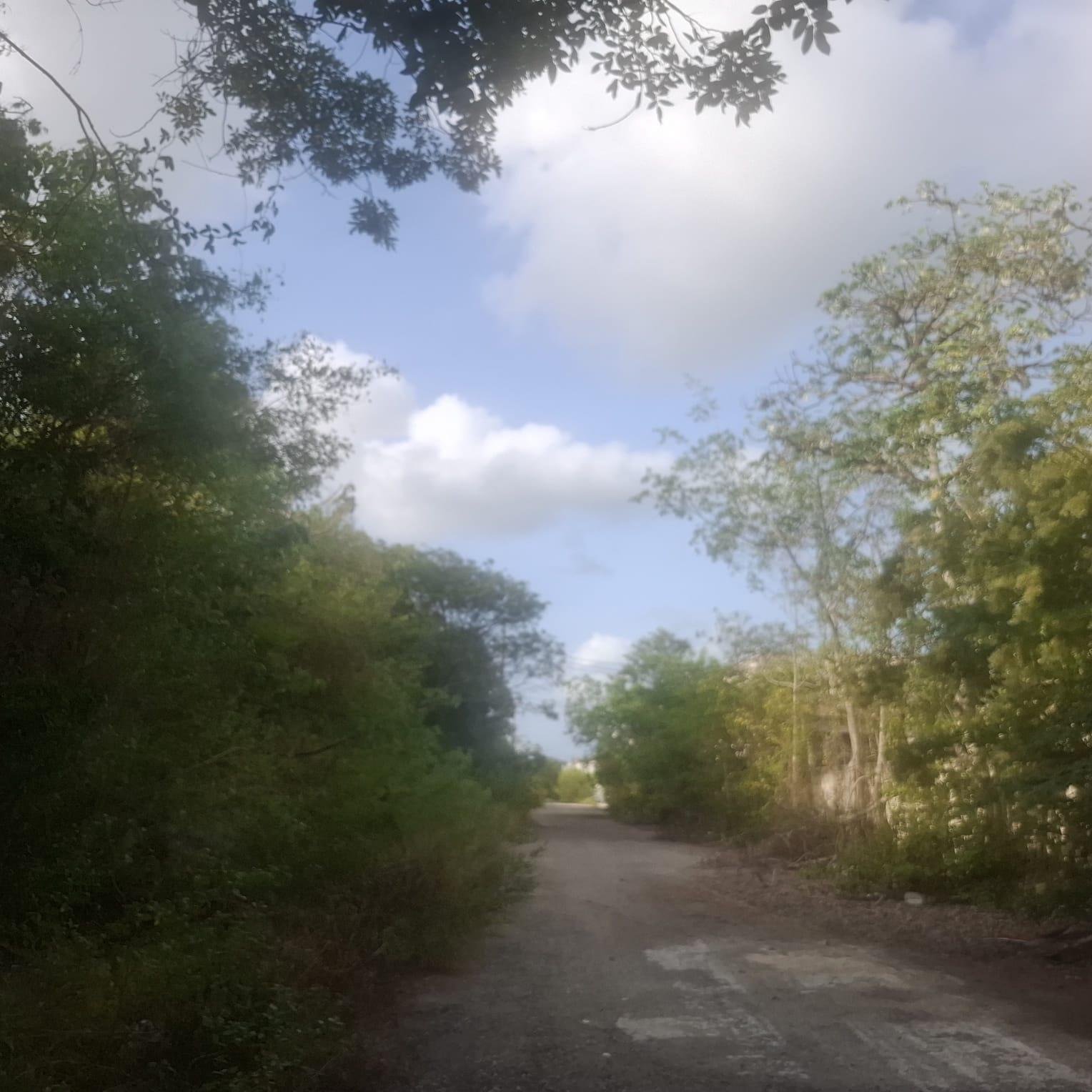 Terreno comercial e industrial a lado del Aeropuerto de Cancún!