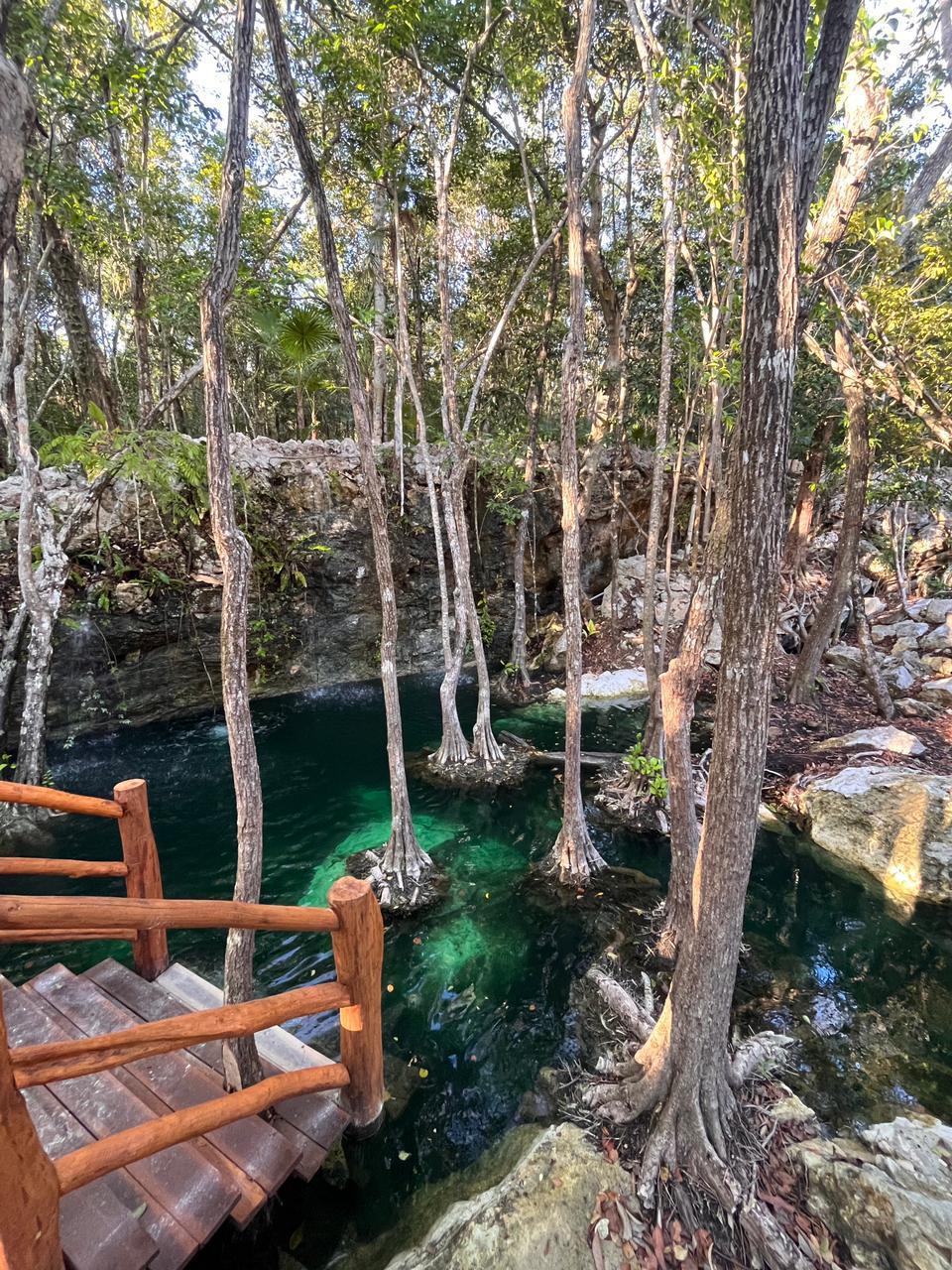 Departamento en Tulum
