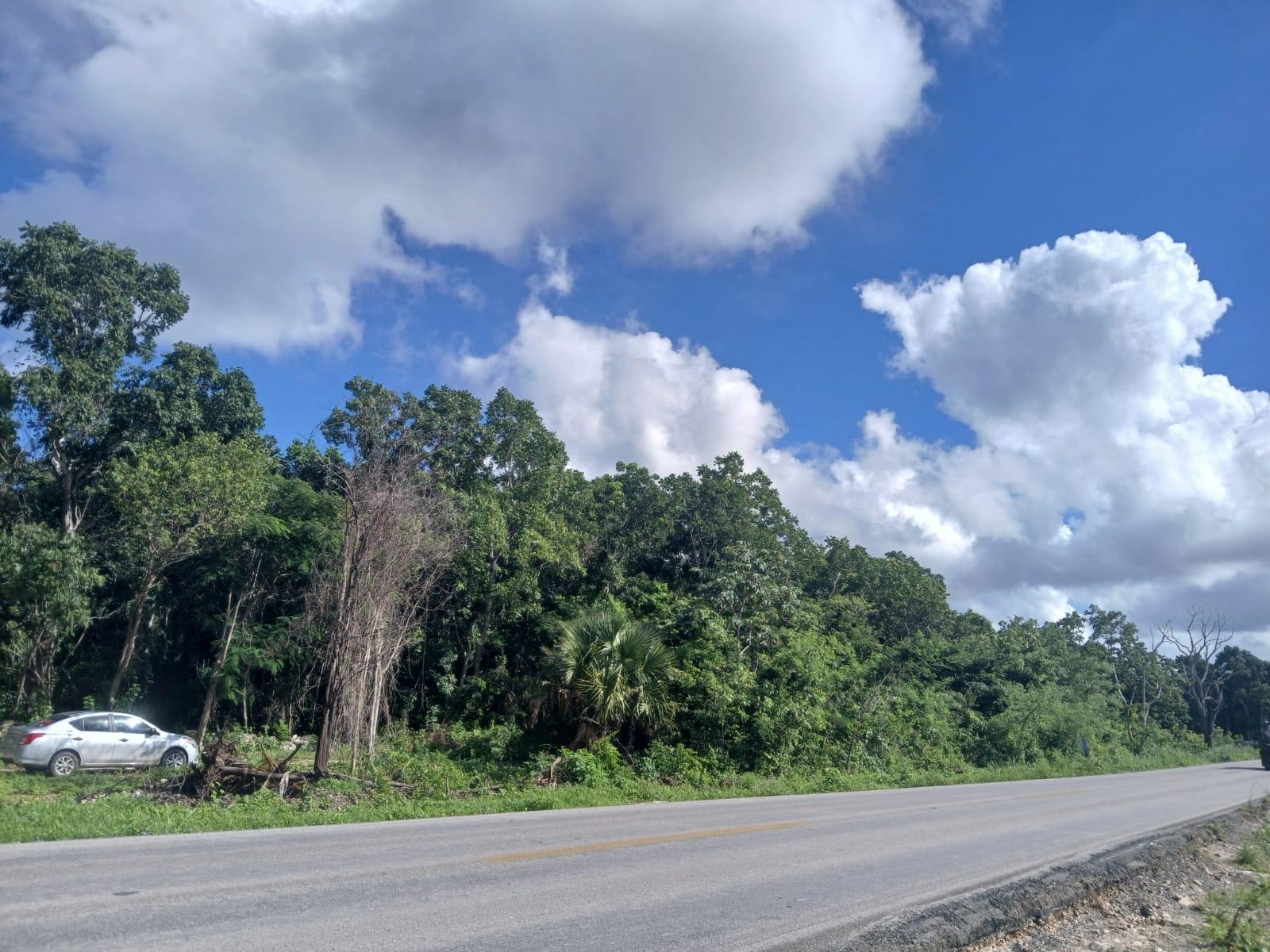 60 mts2 sobre carretera Federal Cancún-Mérida