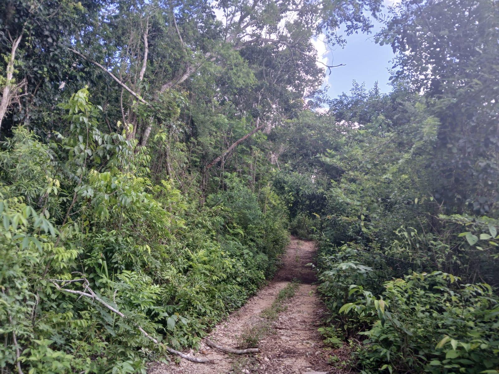 60 mts2 sobre carretera Federal Cancún-Mérida