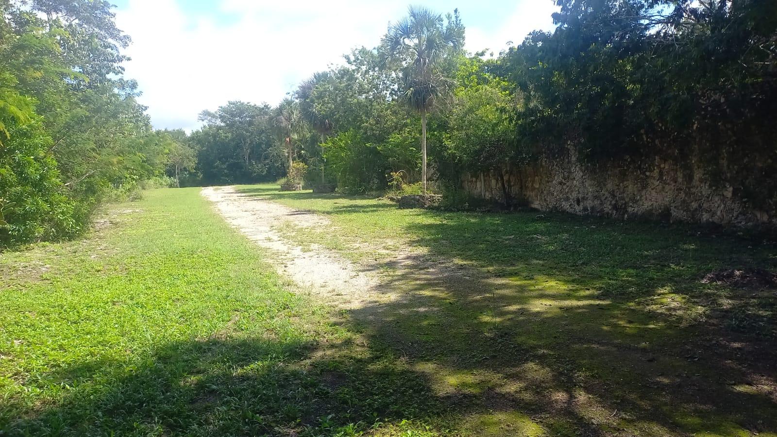 Panteón en Venta en Leona Vicario