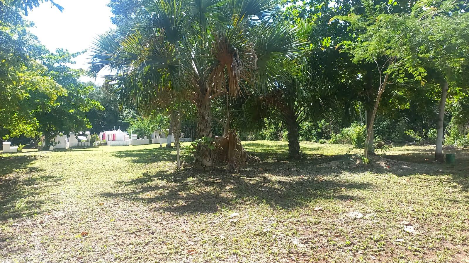 Panteón en Venta en Leona Vicario