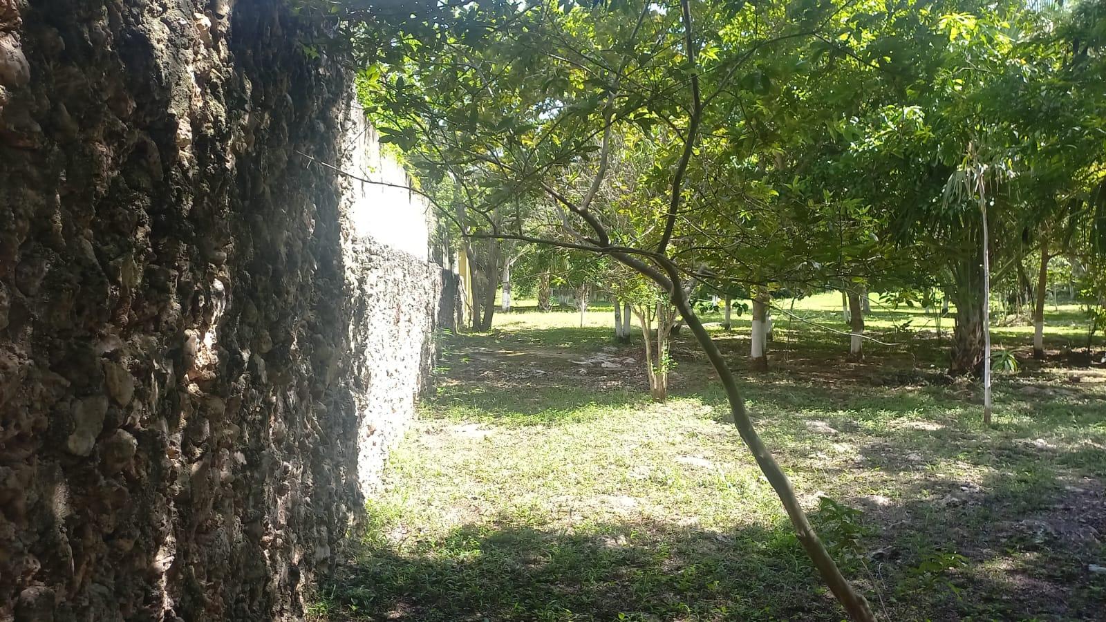 Panteón en Venta en Leona Vicario