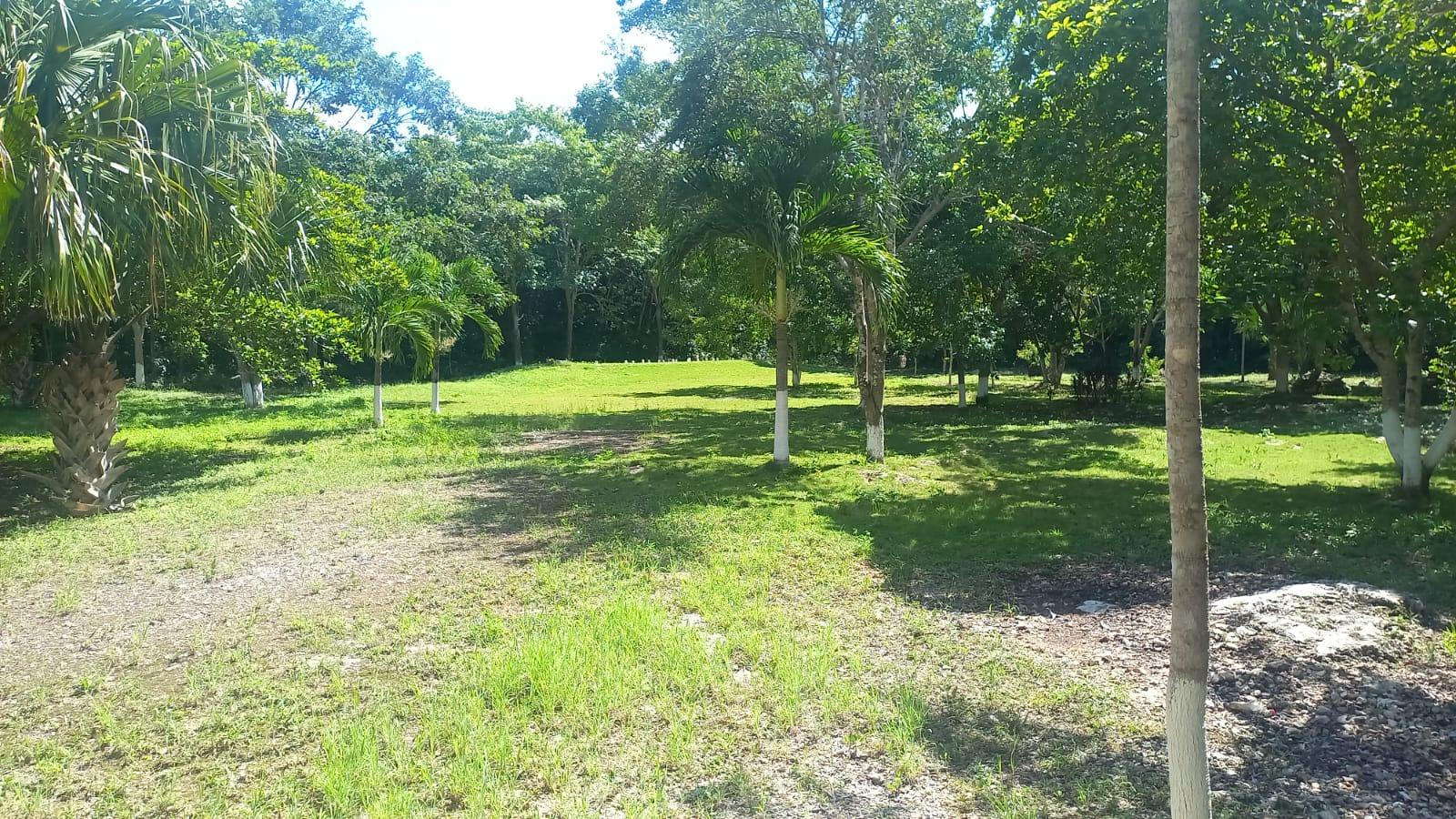 Panteón en Venta en Leona Vicario